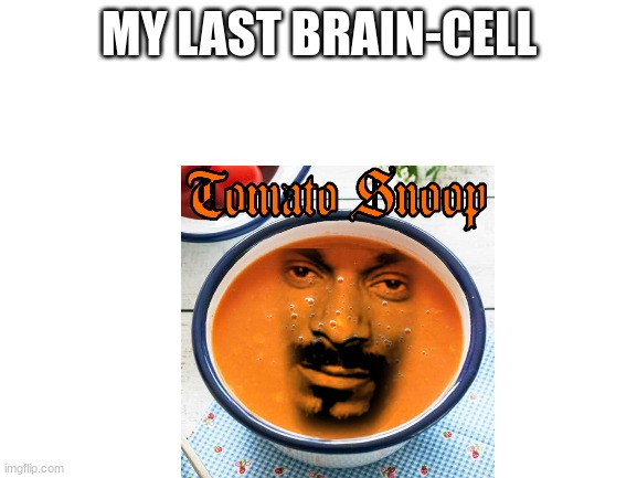 Blank White Template | MY LAST BRAIN-CELL | image tagged in blank white template | made w/ Imgflip meme maker