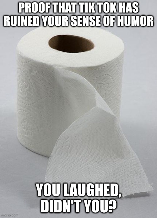 toilet paper | PROOF THAT TIK TOK HAS RUINED YOUR SENSE OF HUMOR; YOU LAUGHED, DIDN'T YOU? | image tagged in toilet paper | made w/ Imgflip meme maker