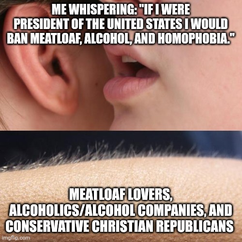 I'd be a great president!!!! | ME WHISPERING: "IF I WERE PRESIDENT OF THE UNITED STATES I WOULD BAN MEATLOAF, ALCOHOL, AND HOMOPHOBIA."; MEATLOAF LOVERS, ALCOHOLICS/ALCOHOL COMPANIES, AND CONSERVATIVE CHRISTIAN REPUBLICANS | image tagged in whisper and goosebumps | made w/ Imgflip meme maker