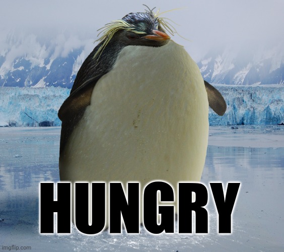 HUNGRY | made w/ Imgflip meme maker