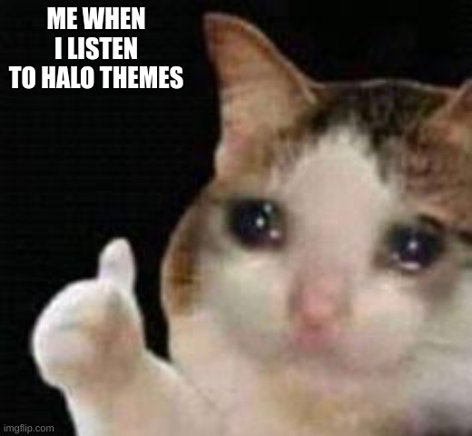 Approved crying cat | ME WHEN I LISTEN TO HALO THEMES | image tagged in approved crying cat | made w/ Imgflip meme maker