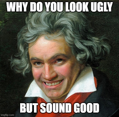 Smiling Beethoven | WHY DO YOU LOOK UGLY; BUT SOUND GOOD | image tagged in smiling beethoven | made w/ Imgflip meme maker