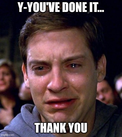 crying peter parker | Y-YOU'VE DONE IT... THANK YOU | image tagged in crying peter parker | made w/ Imgflip meme maker