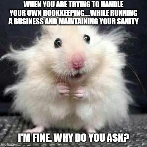 Stressed Mouse | WHEN YOU ARE TRYING TO HANDLE YOUR OWN BOOKKEEPING....WHILE RUNNING A BUSINESS AND MAINTAINING YOUR SANITY; I'M FINE. WHY DO YOU ASK? | image tagged in stressed mouse | made w/ Imgflip meme maker