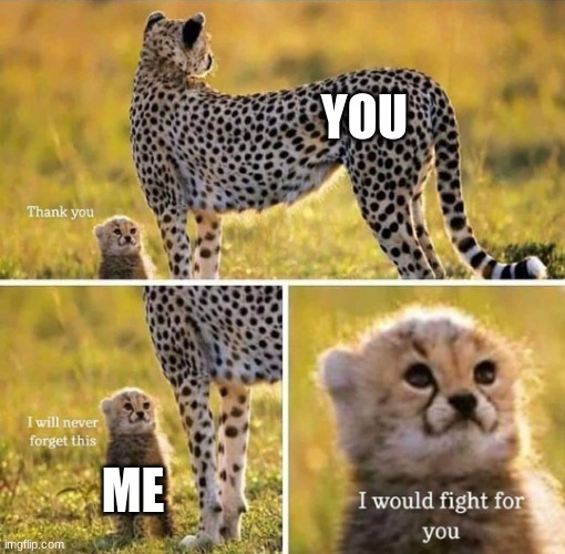 I would fight for you | YOU ME | image tagged in i would fight for you | made w/ Imgflip meme maker