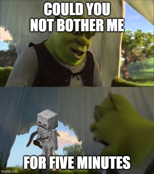 shrek five minutes | COULD YOU NOT BOTHER ME; FOR FIVE MINUTES | image tagged in shrek five minutes | made w/ Imgflip meme maker