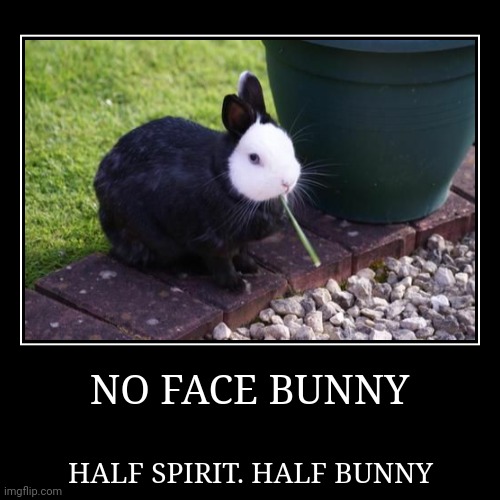 HE HAS SPIRITED AWAY | image tagged in funny,demotivationals,bunny,rabbit | made w/ Imgflip demotivational maker