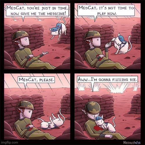 MEDCAT | image tagged in cat,comics/cartoons,war | made w/ Imgflip meme maker