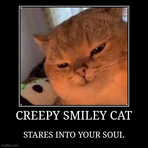 CREEPY KITTY | image tagged in funny,demotivationals,cats,funny cats | made w/ Imgflip demotivational maker