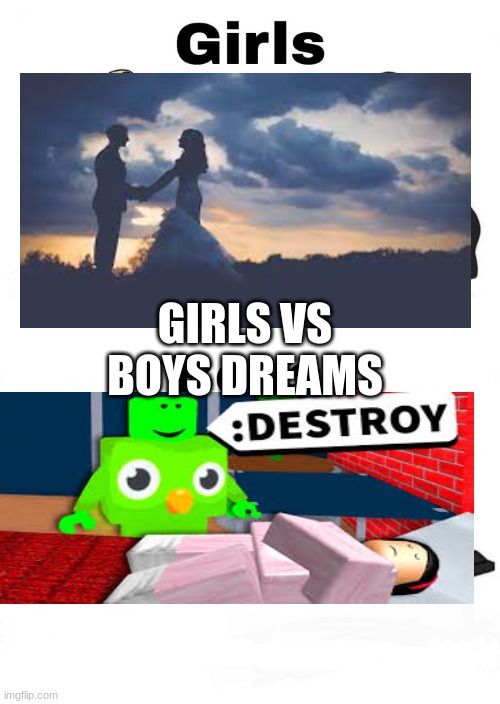 boys v girls | GIRLS VS BOYS DREAMS | image tagged in boys v girls | made w/ Imgflip meme maker