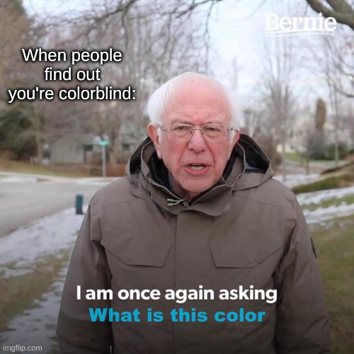 Bernie I Am Once Again Asking For Your Support | When people find out you're colorblind:; What is this color | image tagged in memes,bernie i am once again asking for your support | made w/ Imgflip meme maker