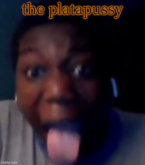 ZAMN! | the platapussy | image tagged in zamn | made w/ Imgflip meme maker