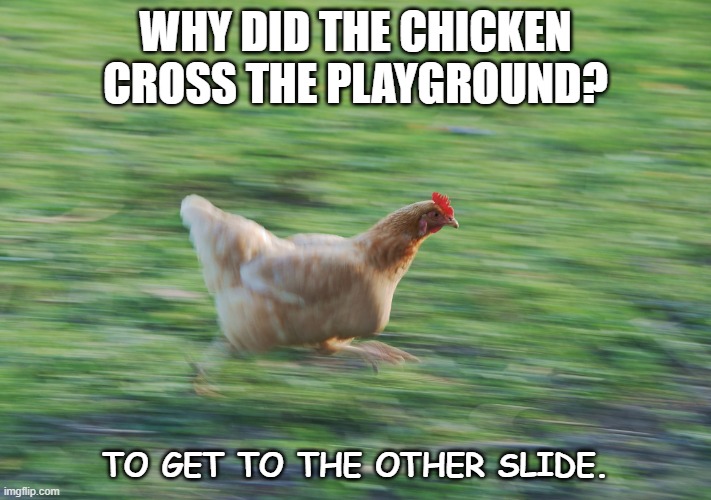 February 22, 2023 | WHY DID THE CHICKEN CROSS THE PLAYGROUND? TO GET TO THE OTHER SLIDE. | image tagged in running chicken | made w/ Imgflip meme maker