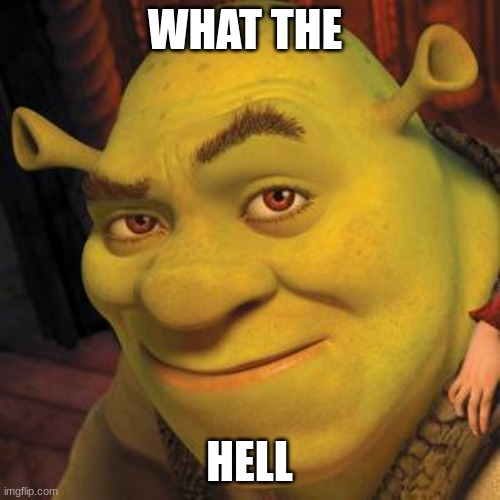Shrek Sexy Face | WHAT THE HELL | image tagged in shrek sexy face | made w/ Imgflip meme maker