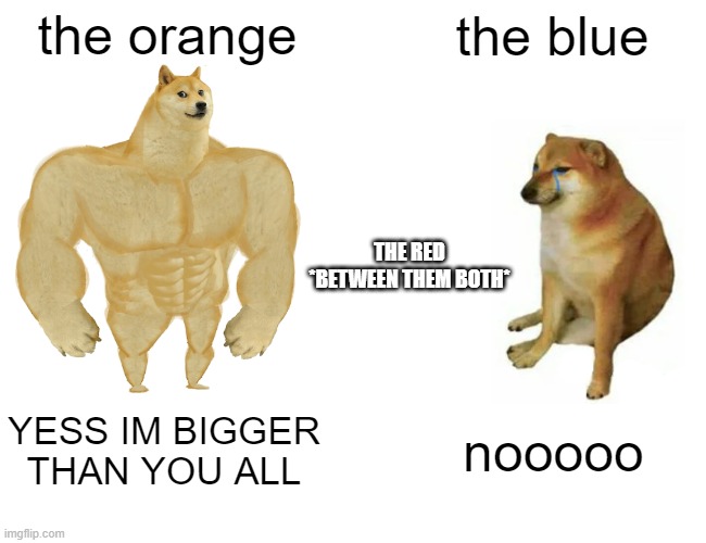 Buff Doge vs. Cheems Meme | the orange the blue YESS IM BIGGER THAN YOU ALL nooooo THE RED *BETWEEN THEM BOTH* | image tagged in memes,buff doge vs cheems | made w/ Imgflip meme maker
