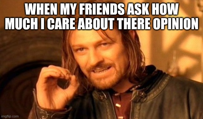 no title again:( | WHEN MY FRIENDS ASK HOW MUCH I CARE ABOUT THERE OPINION | image tagged in memes,one does not simply | made w/ Imgflip meme maker