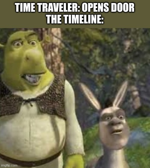 Image title | TIME TRAVELER: OPENS DOOR
THE TIMELINE: | image tagged in shronkey,timeline,time travel | made w/ Imgflip meme maker