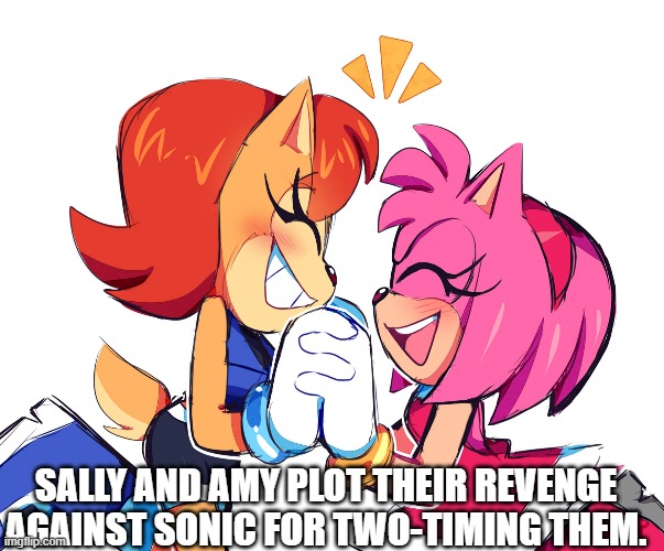  SALLY AND AMY PLOT THEIR REVENGE AGAINST SONIC FOR TWO-TIMING THEM. | image tagged in sally and amy,sonic the hedgehog,sega | made w/ Imgflip meme maker