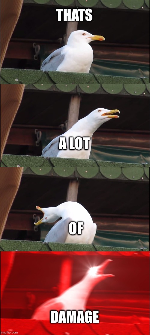 . | THATS; A LOT; OF; DAMAGE | image tagged in memes,inhaling seagull | made w/ Imgflip meme maker