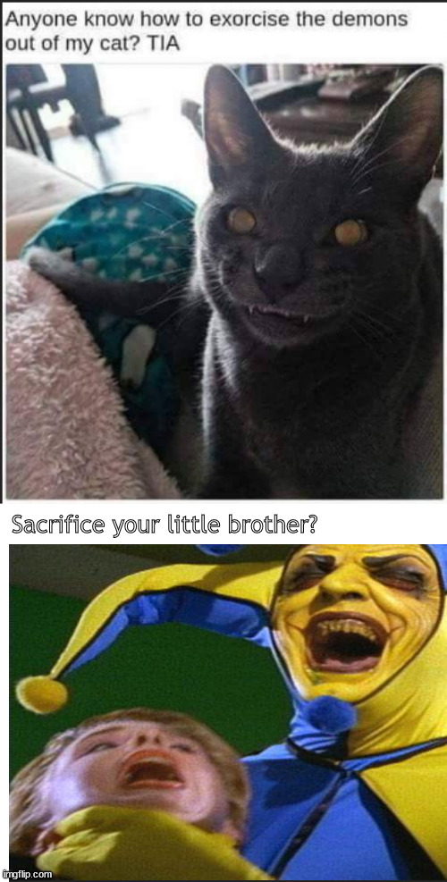 Oh no! | Sacrifice your little brother? | image tagged in memes,dark humor | made w/ Imgflip meme maker