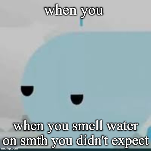 I'd bet money you read this wrong | when you; when you smell water on smth you didn't expect | image tagged in bored helicopter | made w/ Imgflip meme maker