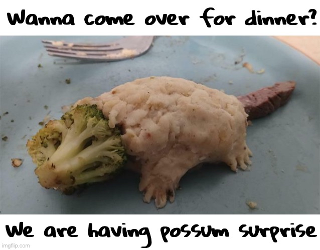 Wanna come over for dinner? We are having possum surprise | image tagged in funny memes,playing with your food,possum | made w/ Imgflip meme maker