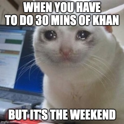 Khan Meme | WHEN YOU HAVE TO DO 30 MINS OF KHAN; BUT IT'S THE WEEKEND | image tagged in crying cat | made w/ Imgflip meme maker