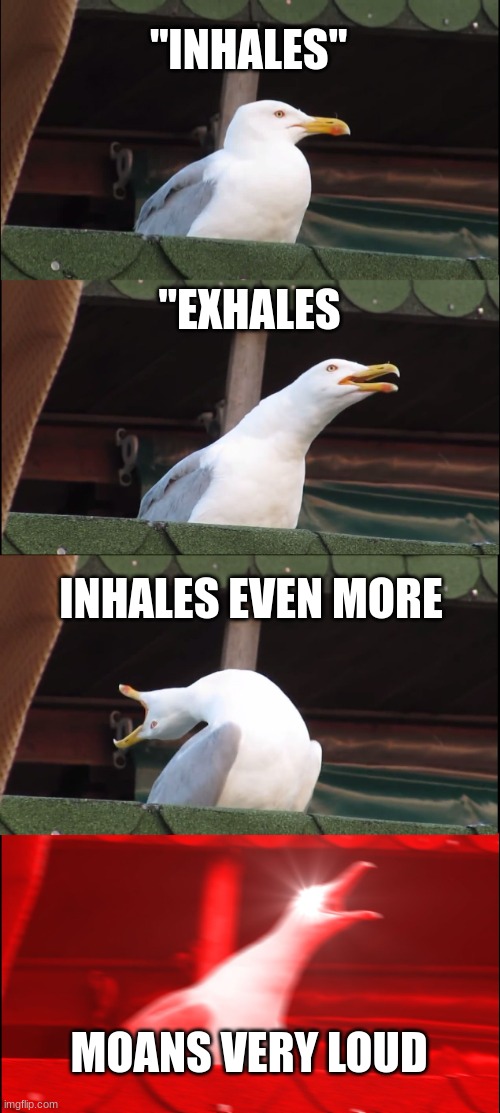 hhhhhhh | "INHALES"; "EXHALES; INHALES EVEN MORE; MOANS VERY LOUD | image tagged in memes,inhaling seagull | made w/ Imgflip meme maker