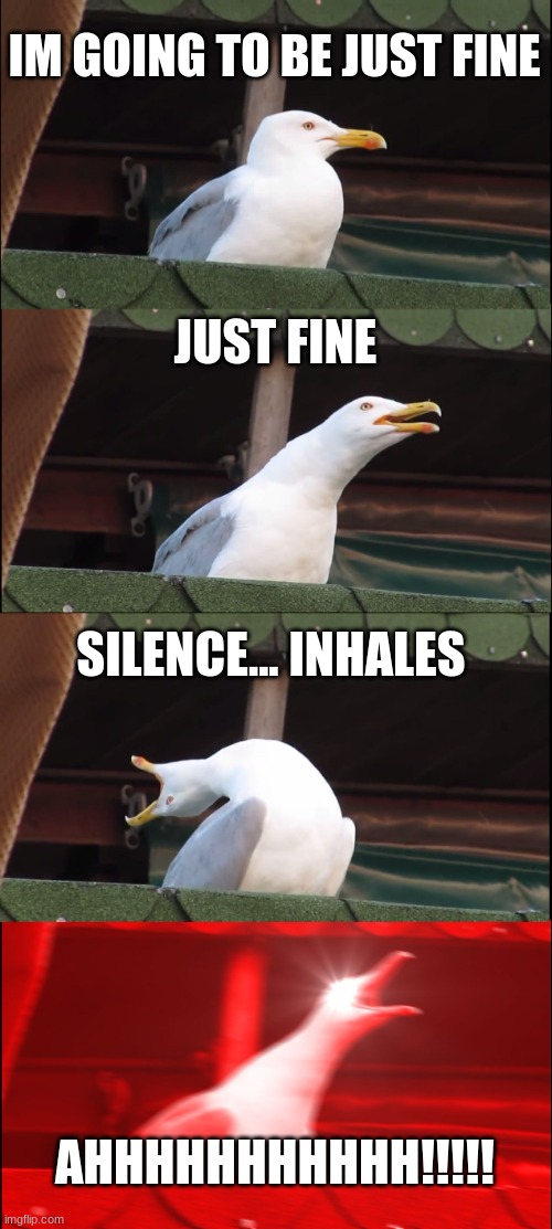 jgjfjgjg | IM GOING TO BE JUST FINE; JUST FINE; SILENCE... INHALES; AHHHHHHHHHHH!!!!! | image tagged in memes,inhaling seagull | made w/ Imgflip meme maker
