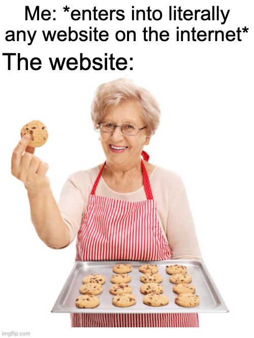 Nobody asked about the cookies!!! | Me: *enters into literally any website on the internet*; The website: | image tagged in cookies,grandma | made w/ Imgflip meme maker