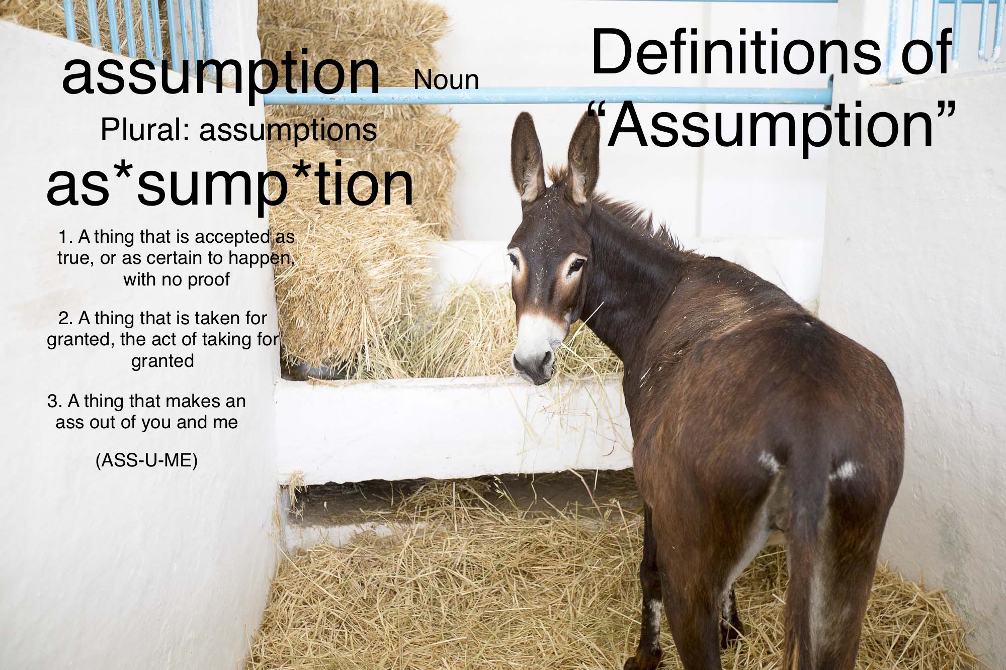 definitions of assumption Blank Meme Template
