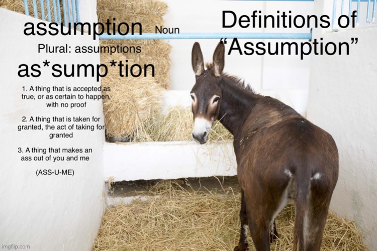 Definitions of “Assumption” | image tagged in definitions of assumption | made w/ Imgflip meme maker