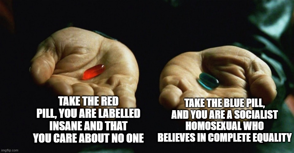 Ah the 2 Party System | TAKE THE BLUE PILL, AND YOU ARE A SOCIALIST HOMOSEXUAL WHO BELIEVES IN COMPLETE EQUALITY; TAKE THE RED PILL, YOU ARE LABELLED INSANE AND THAT YOU CARE ABOUT NO ONE | image tagged in red pill blue pill | made w/ Imgflip meme maker