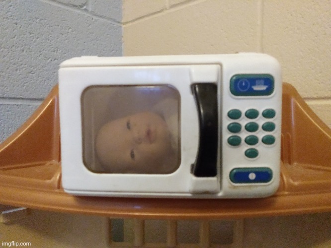 My girlfriend put this baby in a microwave | image tagged in lol,microwave | made w/ Imgflip meme maker