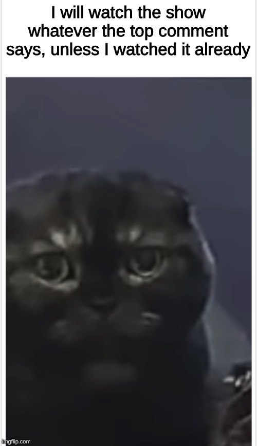 Bored | I will watch the show whatever the top comment says, unless I watched it already | image tagged in debt cat with caption | made w/ Imgflip meme maker