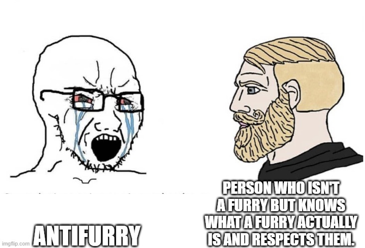 ANTIFURRY PERSON WHO ISN'T A FURRY BUT KNOWS WHAT A FURRY ACTUALLY IS AND RESPECTS THEM. | image tagged in soyboy vs yes chad | made w/ Imgflip meme maker