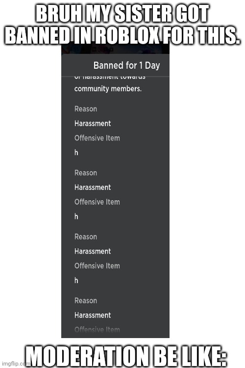 Bruh | BRUH MY SISTER GOT BANNED IN ROBLOX FOR THIS. MODERATION BE LIKE: | image tagged in roblox,robloxmoderation,memes,wtf,stupid | made w/ Imgflip meme maker