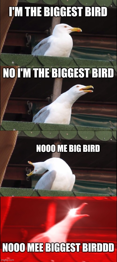 party at 10:00am | I'M THE BIGGEST BIRD; NO I'M THE BIGGEST BIRD; NOOO ME BIG BIRD; NOOO MEE BIGGEST BIRDDD | image tagged in memes,inhaling seagull | made w/ Imgflip meme maker