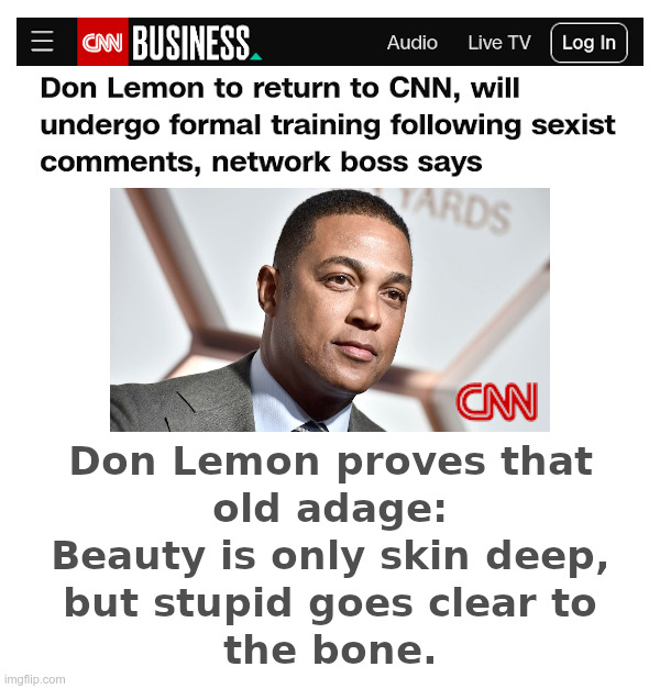 Beauty Is Only Skin Deep, But Stupid... | image tagged in stupid,don lemon,cnn,fake news,nikki haley | made w/ Imgflip meme maker