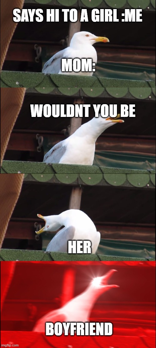 Inhaling Seagull | SAYS HI TO A GIRL :ME; MOM:; WOULDNT YOU BE; HER; BOYFRIEND | image tagged in memes,inhaling seagull | made w/ Imgflip meme maker
