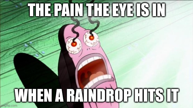 Spongebob My Eyes | THE PAIN THE EYE IS IN; WHEN A RAINDROP HITS IT | image tagged in spongebob my eyes,pain | made w/ Imgflip meme maker