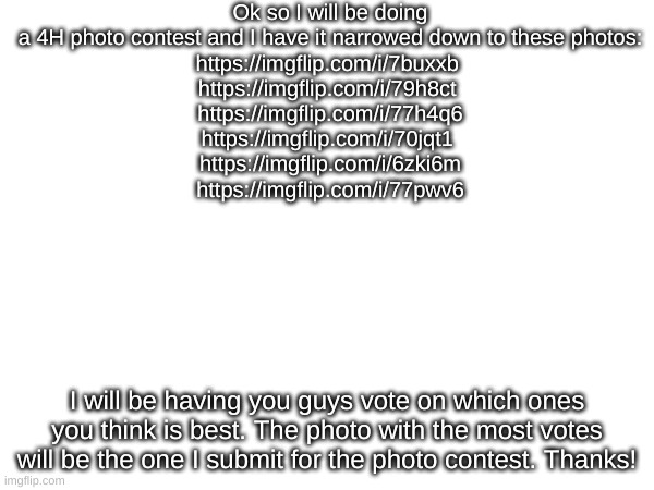 place your votes. I will be keeping track somehow. | Ok so I will be doing a 4H photo contest and I have it narrowed down to these photos:
https://imgflip.com/i/7buxxb 
https://imgflip.com/i/79h8ct 
https://imgflip.com/i/77h4q6
https://imgflip.com/i/70jqt1 
https://imgflip.com/i/6zki6m
https://imgflip.com/i/77pwv6; I will be having you guys vote on which ones you think is best. The photo with the most votes will be the one I submit for the photo contest. Thanks! | made w/ Imgflip meme maker