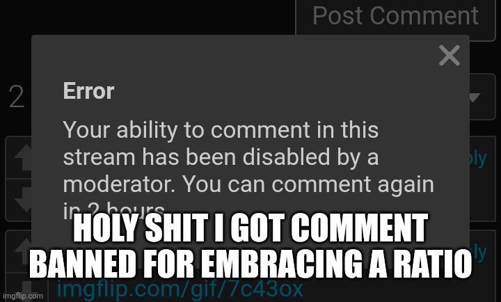 i hate this site so unfair | HOLY SHIT I GOT COMMENT BANNED FOR EMBRACING A RATIO | made w/ Imgflip meme maker