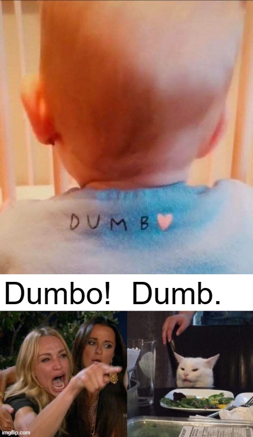 Dumbo! Dumb. | image tagged in memes,woman yelling at cat,you had one job,failure,design fails,baby | made w/ Imgflip meme maker