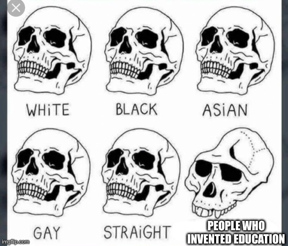 Why world | PEOPLE WHO INVENTED EDUCATION | image tagged in white black asian gay straight skull template | made w/ Imgflip meme maker