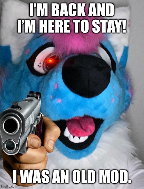E | I’M BACK AND I’M HERE TO STAY! I WAS AN OLD MOD. | image tagged in memes,funny,furry | made w/ Imgflip meme maker