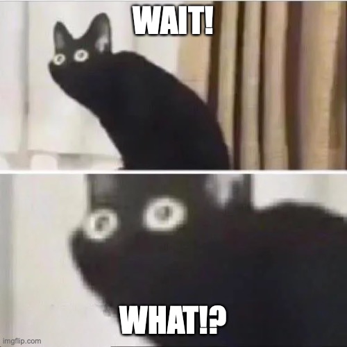 Scared cat | WAIT! WHAT!? | image tagged in scared cat | made w/ Imgflip meme maker