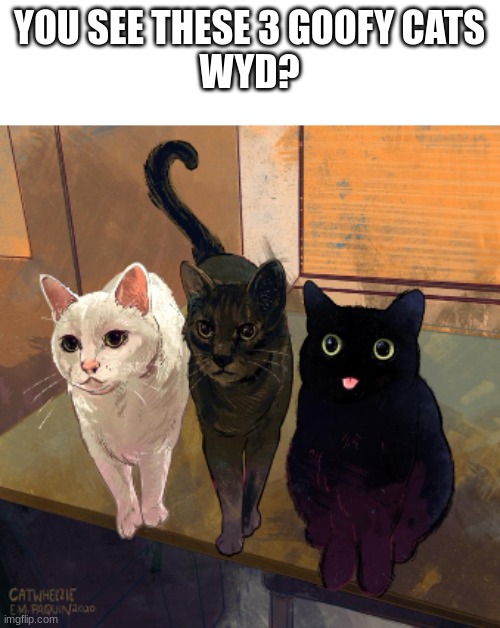 background | YOU SEE THESE 3 GOOFY CATS
WYD? | image tagged in background | made w/ Imgflip meme maker