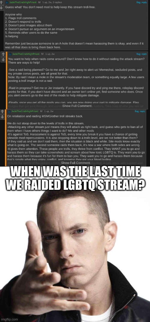 i aint reading that | WHEN WAS THE LAST TIME WE RAIDED LGBTQ STREAM? | image tagged in eminem video game logic | made w/ Imgflip meme maker