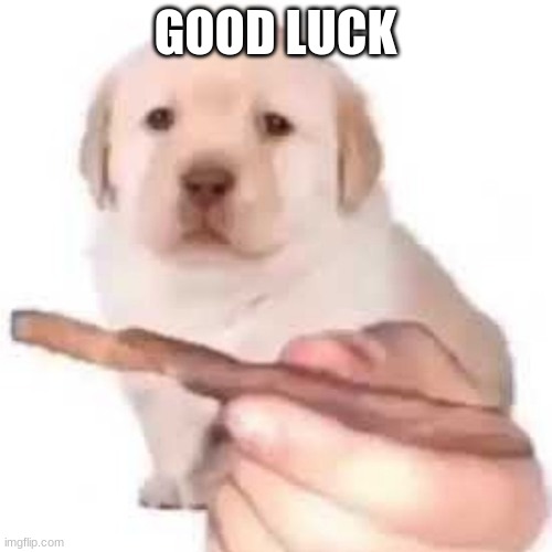 quieres? | GOOD LUCK | image tagged in quieres | made w/ Imgflip meme maker